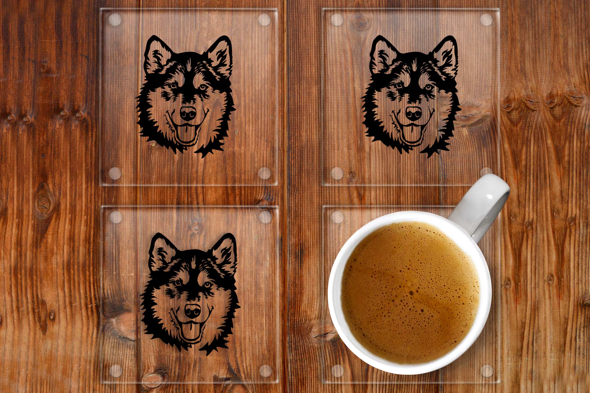 Alaskan Malamute Glass Coasters Set