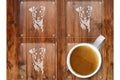 Patterdale Glass Drinks Coasters Set of 4
