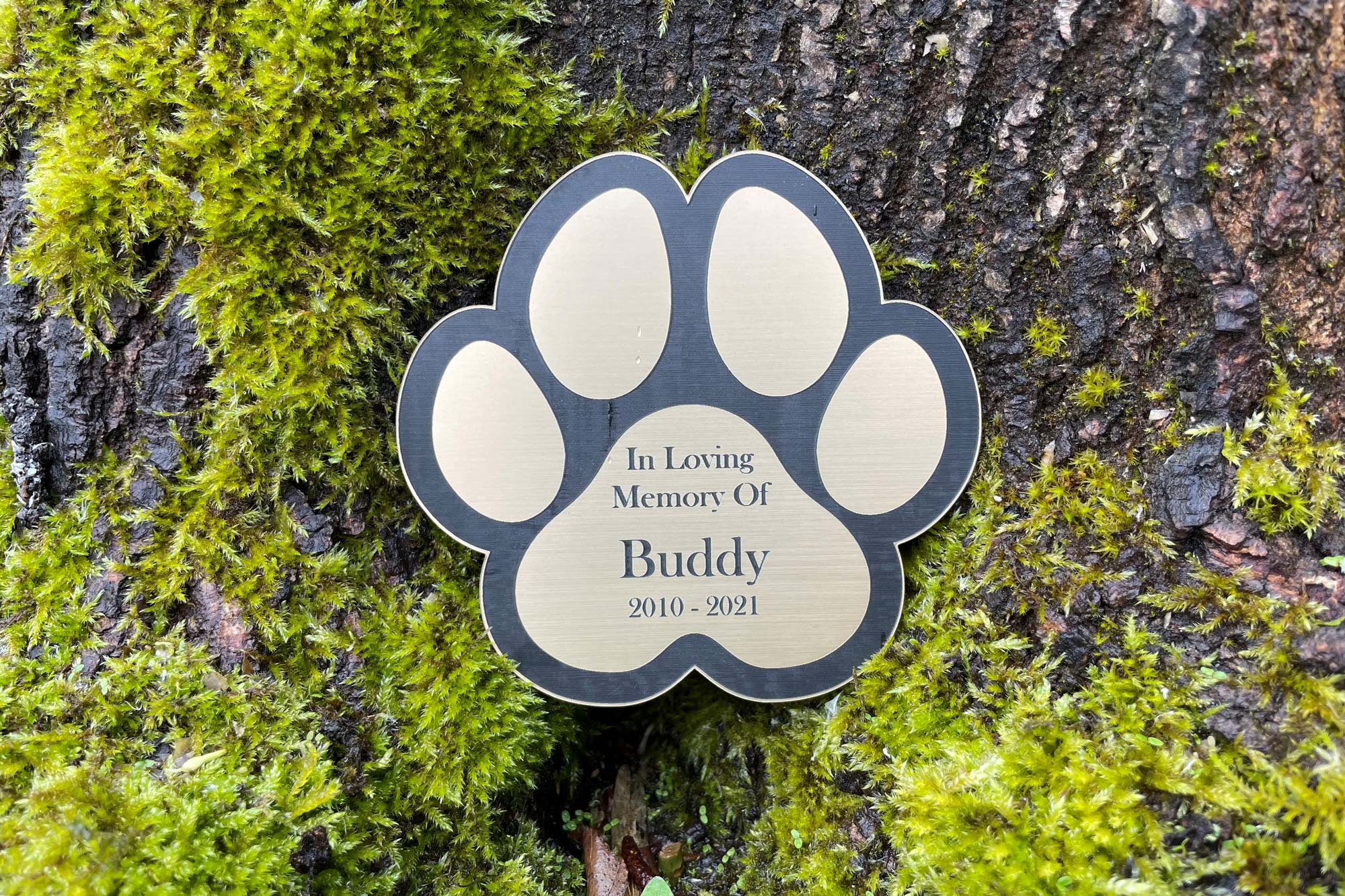 Pet Memorial Plaque