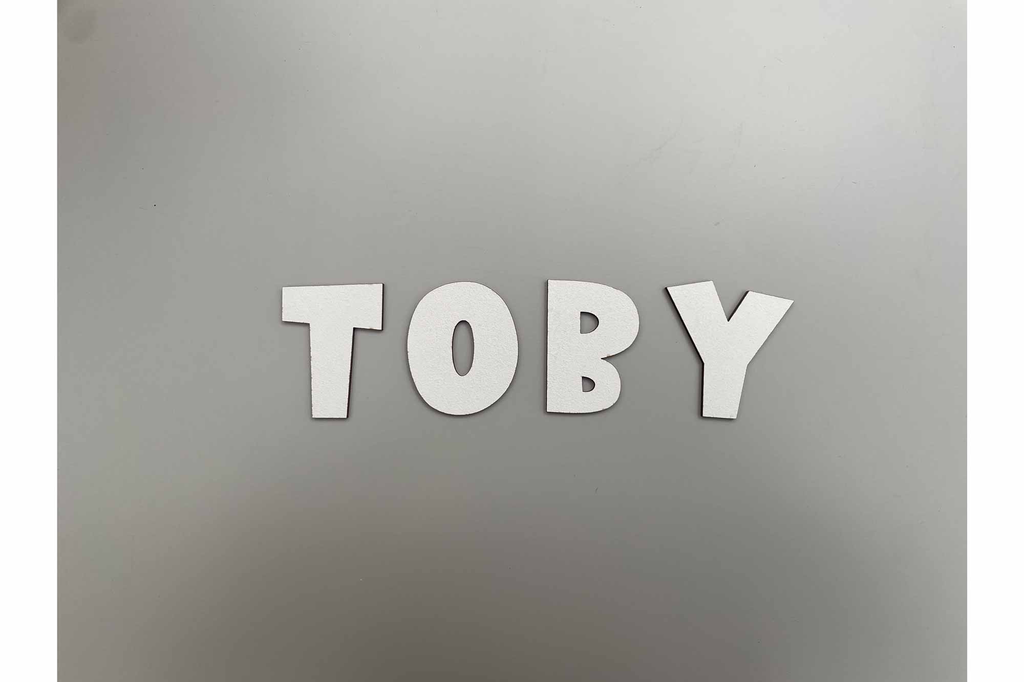 Personalised Dinosaur Themed Bedroom Door Sign, Door Plaque, 3D Effect